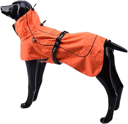 orange dog jacket