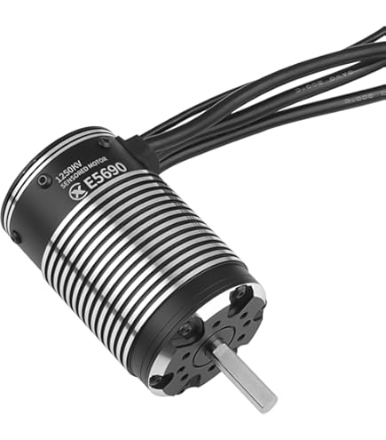 Amazon.com: HOBBYWING EZRUN 3665 SD G3 Motor (EZRUN 3665SD