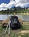 Cnoc Outdoors Vertex Compact and Ultralight Collapsible Carbon Hiking and Trekking Poles, Cork Handle, Pair