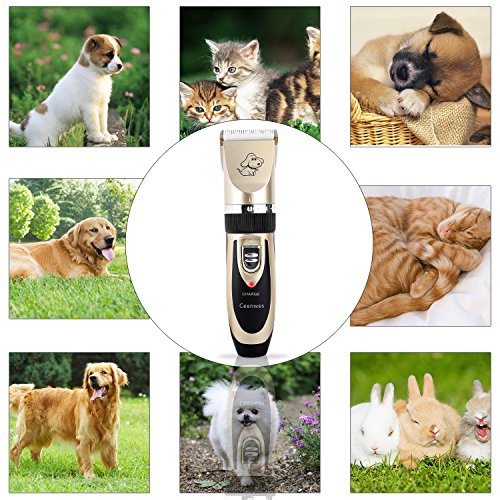 1 Ceenwes+Clippers+Rechargeable+Cordless+Professional