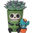 Amazon.com: Furrybones Summit Collection Echy Figurine Decorative ...