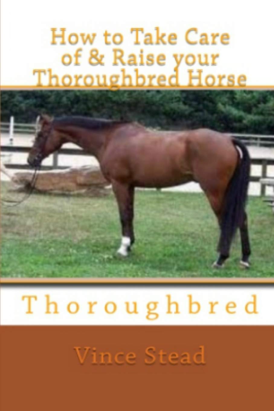 How To Take Care Of Raise Your Thoroughbred Horse Amazon De Stead Vince Fremdsprachige Bucher