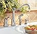 Pfister LF0264NSS Marielle 1-Handle Kitchen Faucet with Side Spray & Soap Dispenser in Stainless Steel, Water-Efficient Model