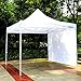 Ohuhu Canopy Tent with Screen, 10 X 10 Ft Pop-Up Canopy Tent, Instant Shelter Canopy with Sidewall Sun-Shade Wall & Wheeled Carrying Bag, White