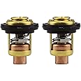 ANP PUAUTO 6E5-12411-30-00 (2Pcs) Boat Motor Thermostat Valve Thermostat Kit FOR YAMAHA 2-Stroke HP 15HP 25HP 30HP 40HP-250HP Outboard Motor Replace 688-12411 6H3-12411 6E5-12411