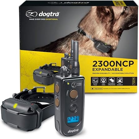 dogtra 2300