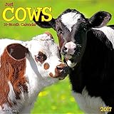 Just Cows 2017 Wall Calendar by 