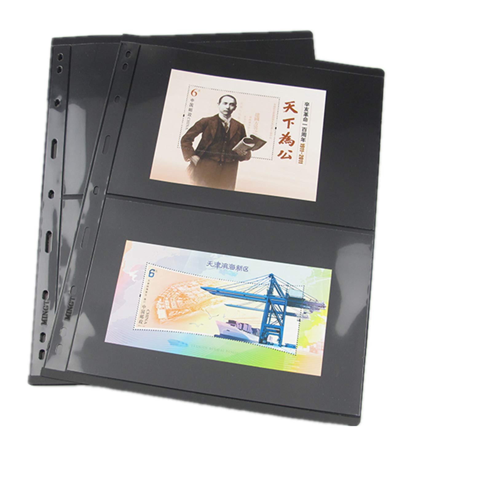 MUROAD Stamp Pages for Stamp Album Binder, 10 Sheet 2 Rows for Collectors, Professional Pack