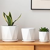 Sin wings Octagon Ceramic Plant Pots - Indoor White Flower Planter Set with Drainage Holes, 6.7/5.5/4.7 Inch, Modern Decorative Planter Outdoor for Succulents Snakes and Herb