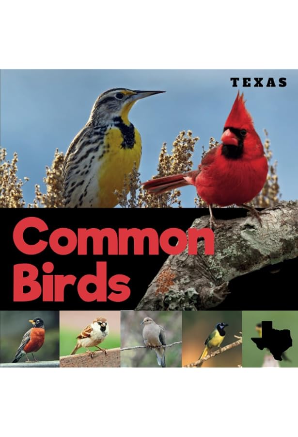 thumbnail image 2 of Birds Of Texas Field Guide By Stan Tekiela – Bird Identification, 436 Pages, Perfect Format, Used Good Condition 2 of 5