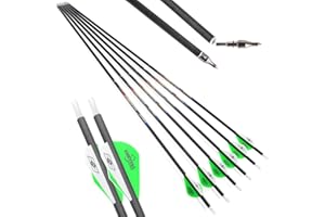 31 inch Archery Pure Carbon Arrows Spine 250/300/350/400/500/600 Hunting Arrows with 2" Feather 100 Grain Replaceable Points 