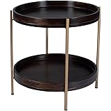 Butler Specialty Damirra Wood and Metal Accent Table in Brown
