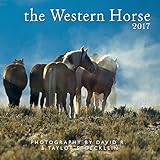 Cover for 9781933790886