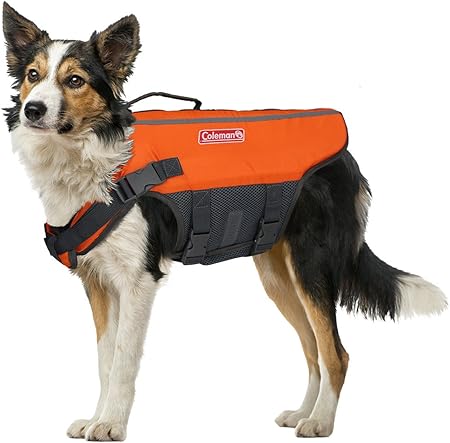 dog swim vest amazon