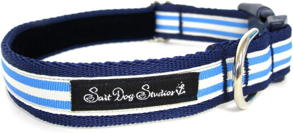 Salt Dog Studios Light Blue Stripe Dog Collar - Medium 12-19" 1" Width