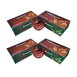 Value buy Gano Excel Mocha Coffee Ganoderma Lucidum
