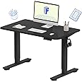 FLEXISPOT EN1 Whole-Piece Standing Desk 40 x 24 Inches Height Adjustable Small Desk Electric Sit Stand Desk Home Office Table Standing Desk (Black Frame + 40 in Black Top)