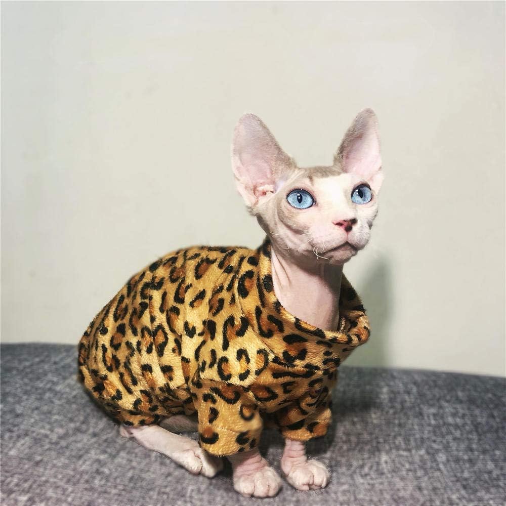 sphynx cat with jumper