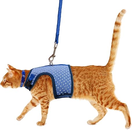 cat harness for large cats