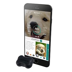 best dog gadgets