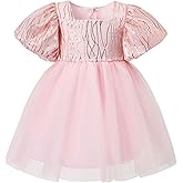 KARETT Summer Toddler Girl Dresses Tutu A Line Puffy Short Sleeve Casual Flower Girl Dress for Birthday Party 1-7Y
