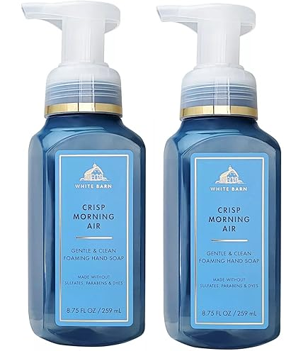 Amazon.com : Bath and Body Works Gentle & Clean Foaming Hand Soap