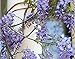 Lannu 12 Pack 3.6 FT Artificial Fake Hanging Wisteria Vine Ratta Silk Flowers String for Home Wedding Party Decor (Purple)