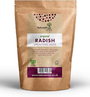 Natures Root Bio Rettichkeimen (China Rose) - Superfood | Nicht GVO | MIKROGRÜN | Sprouts | Rettich Keimsprossen (1kg)