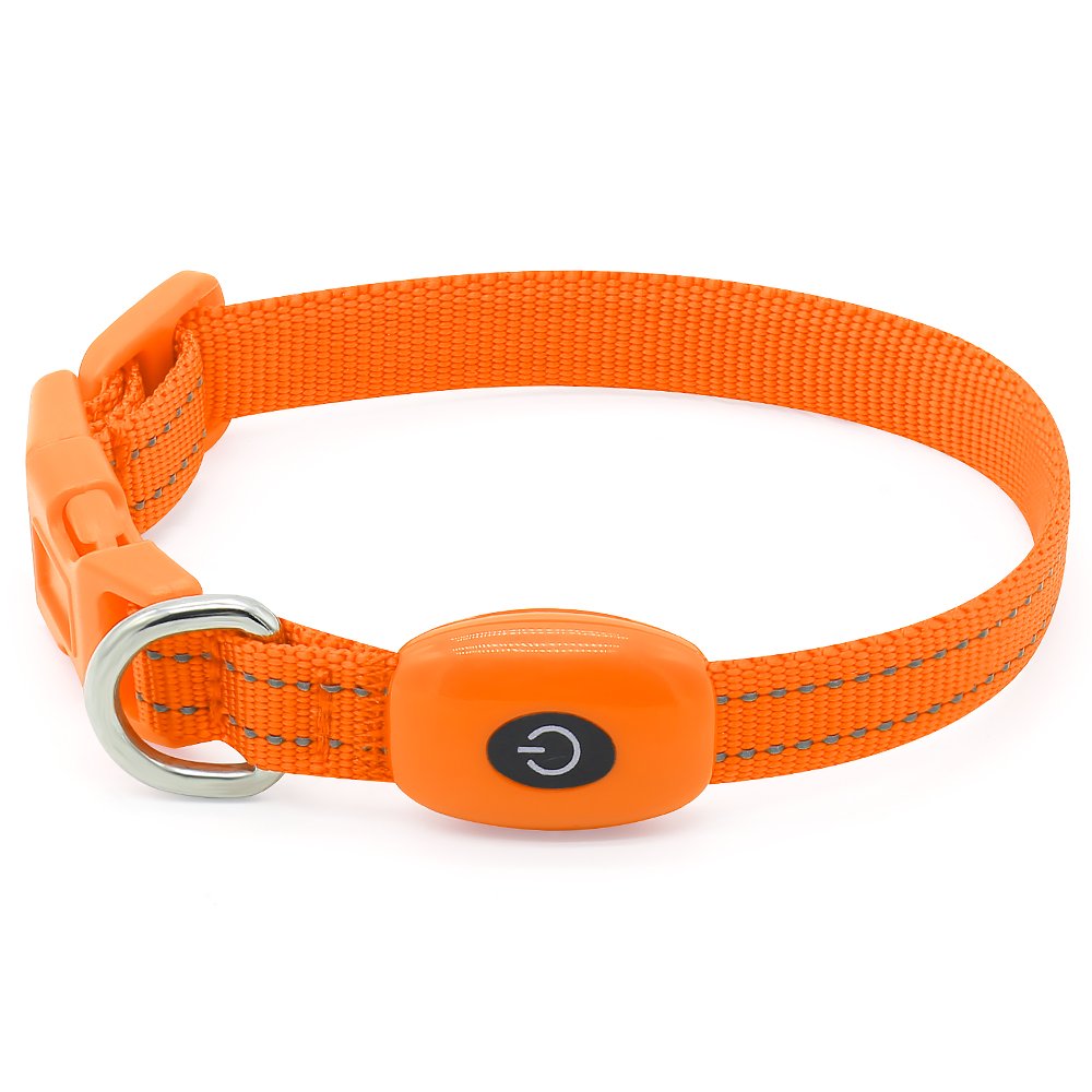 Clan_X Led Dog Collar, USB Rechargeable light up Pet Collar for small dogs, Glowing in the Dark Nylon Webbing Flashing Collar with Reflective Stitches Make Your Pets Visible & Safe (Orange)
