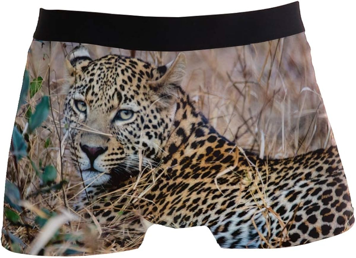 Leopard Wild Animal Mens Boxer Briefs for Boy Youth Men Underwear