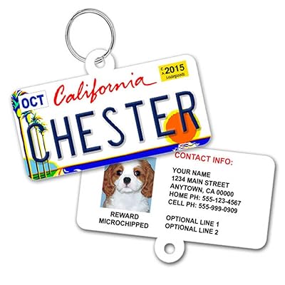 License Plate Custom Dog Tags for Pets Ireland Ubuy