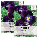 Seed Needs, King Henry Viola Seeds for Planting