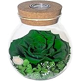 roliys Preserved Real Roses with Colorful Mood Light Wishing Bottle,Eternal Rose,Never Withered Flowers,for Bedroom Party Table Decor, Christmas Decorations,a Gifts for Women 4.3inch1pcs (Green)