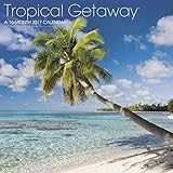 Tropical Getaway Wall Calendar (2017)