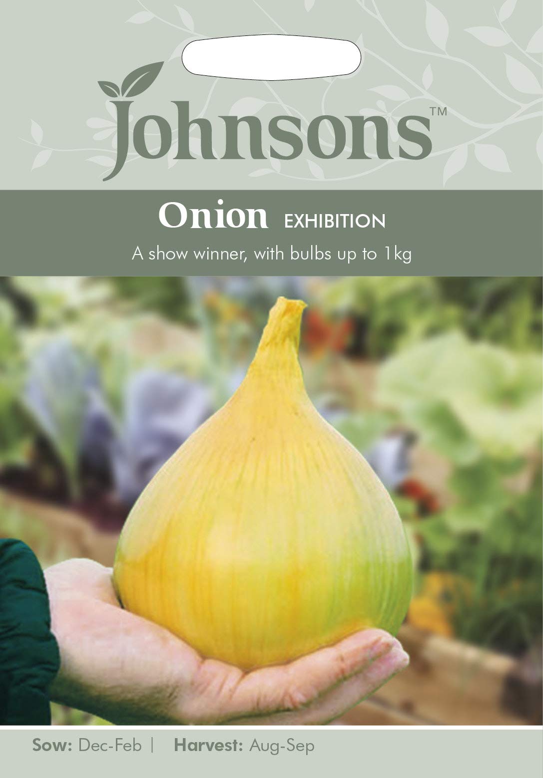 Mr Fothergill's 20929 Ohnsons Vegetable Seeds, Onion Exhibition, White, 0.4 x 9.2 x 13.2 cm