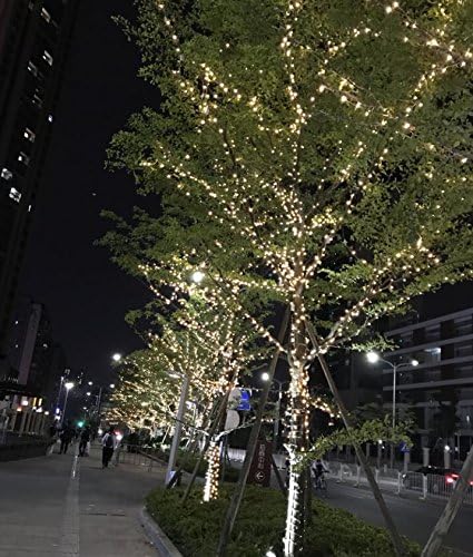 KINGLUX Decorative Indoor Christmas Party String Lights Starry lights flexible string Silver Wire Lights for Wedding Bedroom Holiday Pub Club,Time Setting warm white 3000K 32.8FT/10M