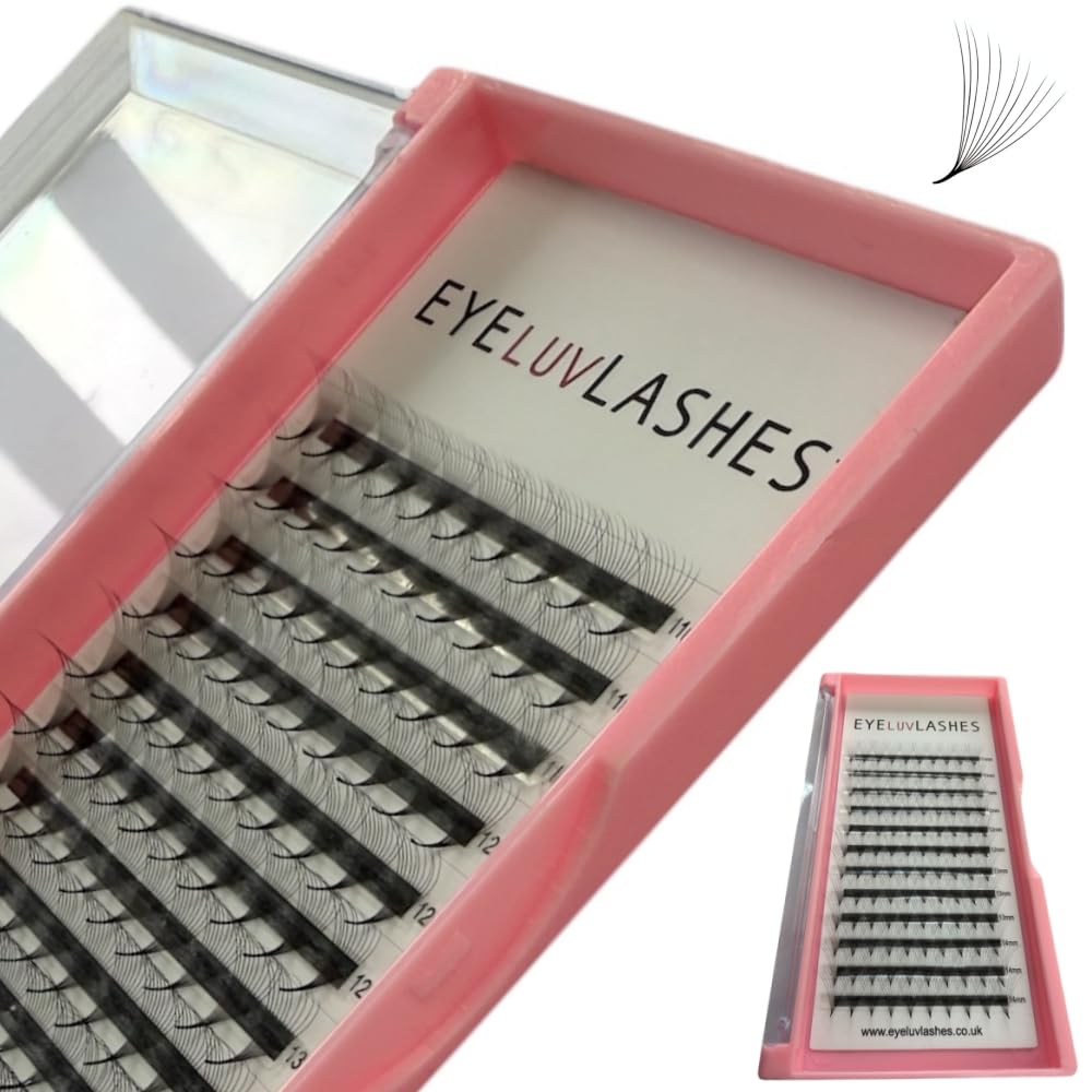 Russian Premade Lashes 10D D Curl 8-15 Mix Length Pre Made Lash Fans Volume Lashes Promade Lash Extensions Pre Made Lash Fans Eyelash Tray (10D 0.05 D Curl 8-15 Mix)