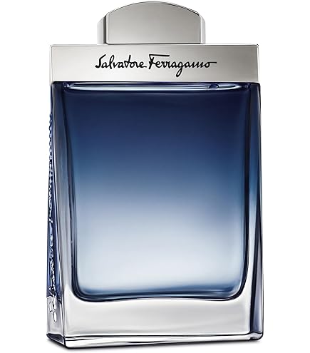 Amazon.com : Dumont Salvatore Ferragamo Attimo for Men - 1.3 oz