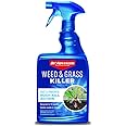 BioAdvanced Weed & Grass Killer, Ready-to-Use, 24 oz