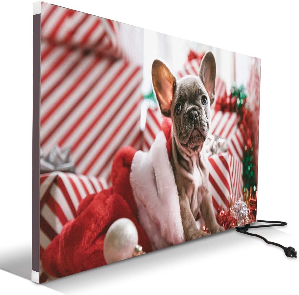 Amazon.com: Wall Mounted Electric Heater, 120V 500W ...