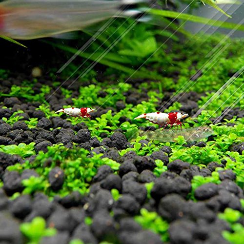 3Pack Aquarium Small Leaf Grass, Aquarium Carpet Help Creates Lush