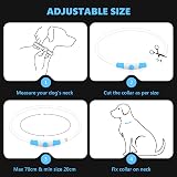 SerDa-Run Light Up Collar Blue Rechargeable USB 3 Modes Adjustable view 6