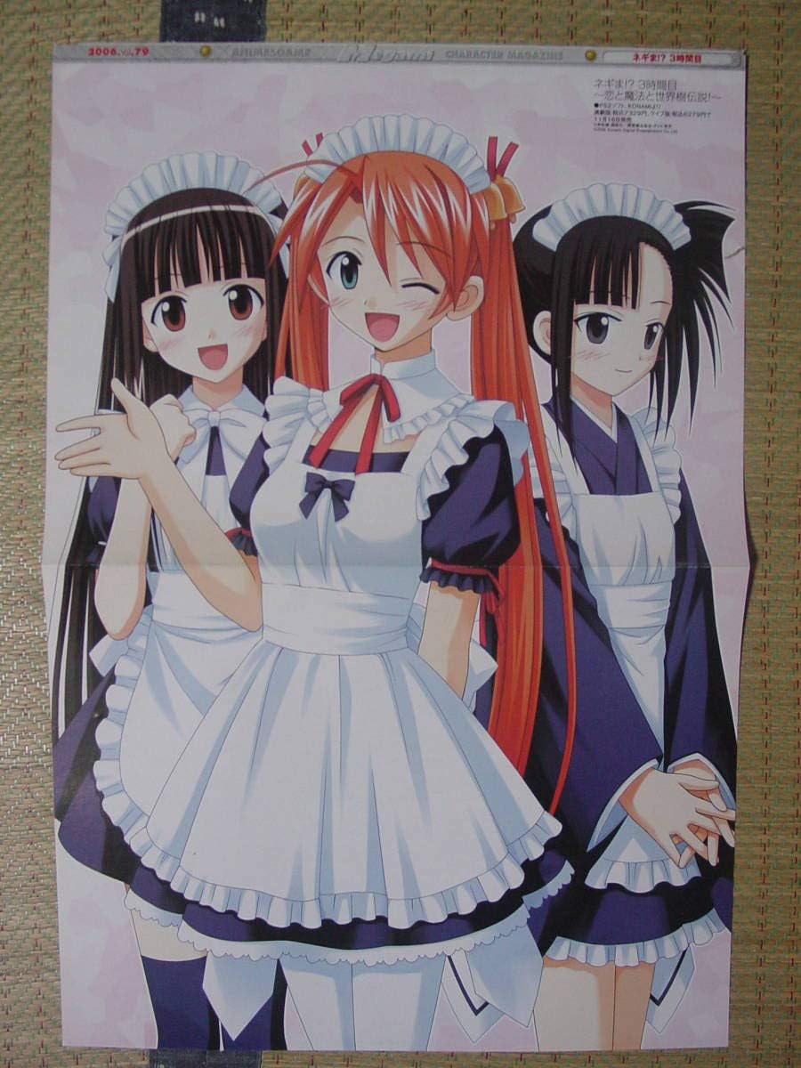 Amazon 魔法先生ネギま神楽坂明日菜 近衛木乃香 桜咲刹那 エヴァンジェリン 両面ピンナップポスター アニメ 萌えグッズ 通販