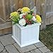 Mayne Cape Cod 14-Inch Square Planter – Self-Watering, Weather-Resistant Planter for Flowers – Durable Outdoor Design for Patio, Porch, or Entryway