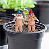 Renyigou 2Pcs Garden Gnomes Naughty Couple Nude Resin Dwarf Statues view 6