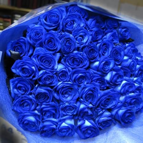 50本 青薔薇 3種類の青バラが選べる 青バラの花束 青い