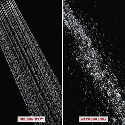 Delta Faucet Victorian 17 Series DualFunction Shower Trim Kit with 2Spray TouchClean Shower