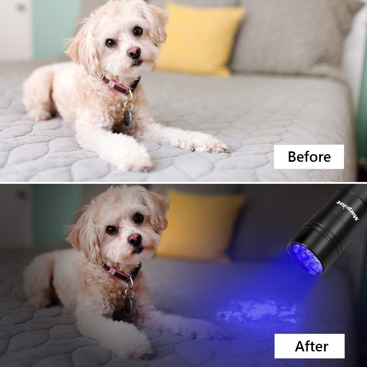 morpilot Black Light, 2 Pcs UV Handheld Blacklight Flashlights 12 Led 395nm Mini Light Torch Detector for Pets Urine and Stains - - 