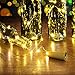 AGPTEK Bottle Cork Shape 30in Copper Wire Starry Light for Christmas/Wedding/Party/Halloween/Decoration-Warm White