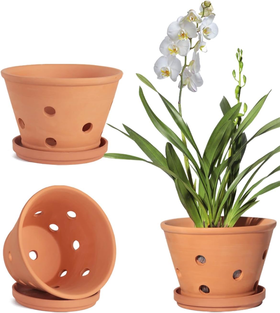 vensovo 15 CM Terracotta Orchid Pots with Holes and Saucers, 3 Pack Clay Planter Pots for Repotting, Terra Cotta Flower Pots for Orchid Indoor and Outdoor Promotes Air Circulation
